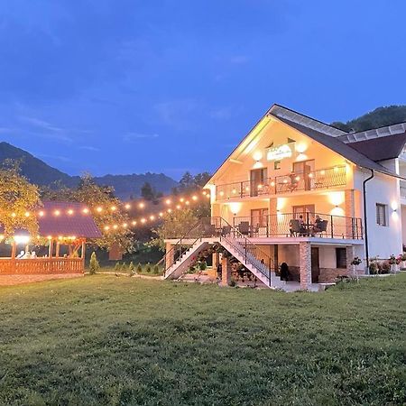 Pensiunea Hai In Maramures Bîrsana 外观 照片