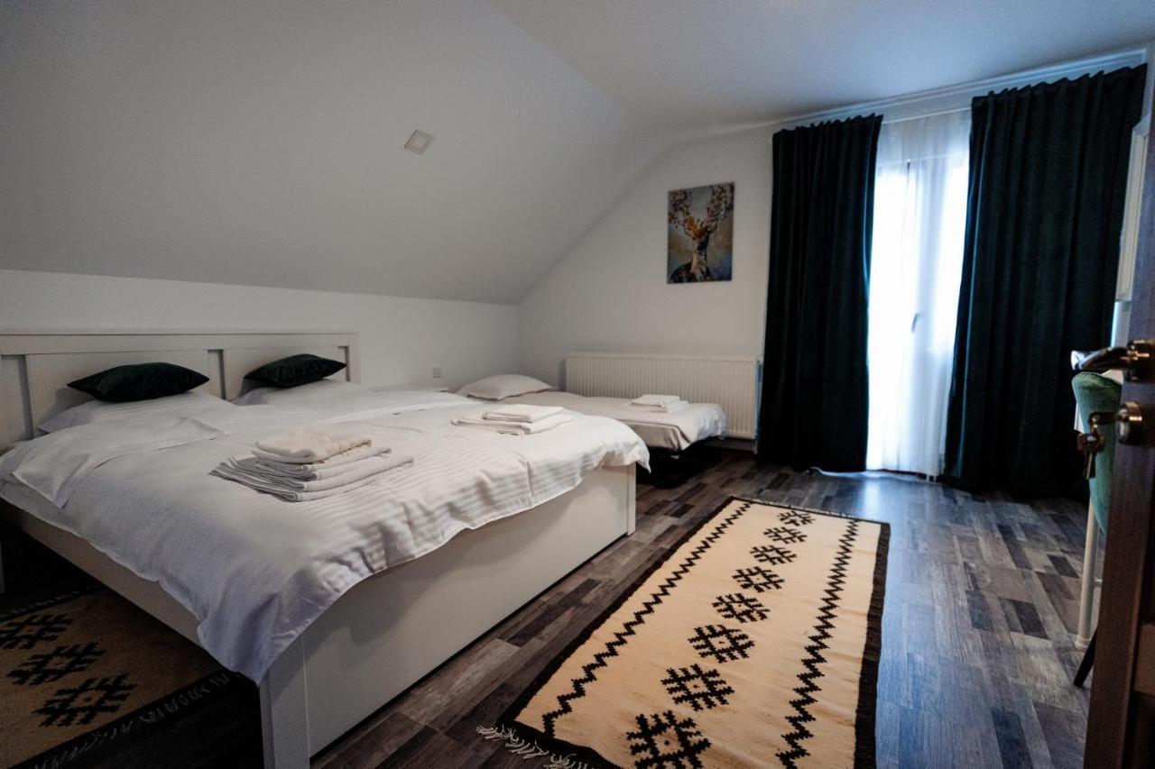Pensiunea Hai In Maramures Bîrsana 外观 照片